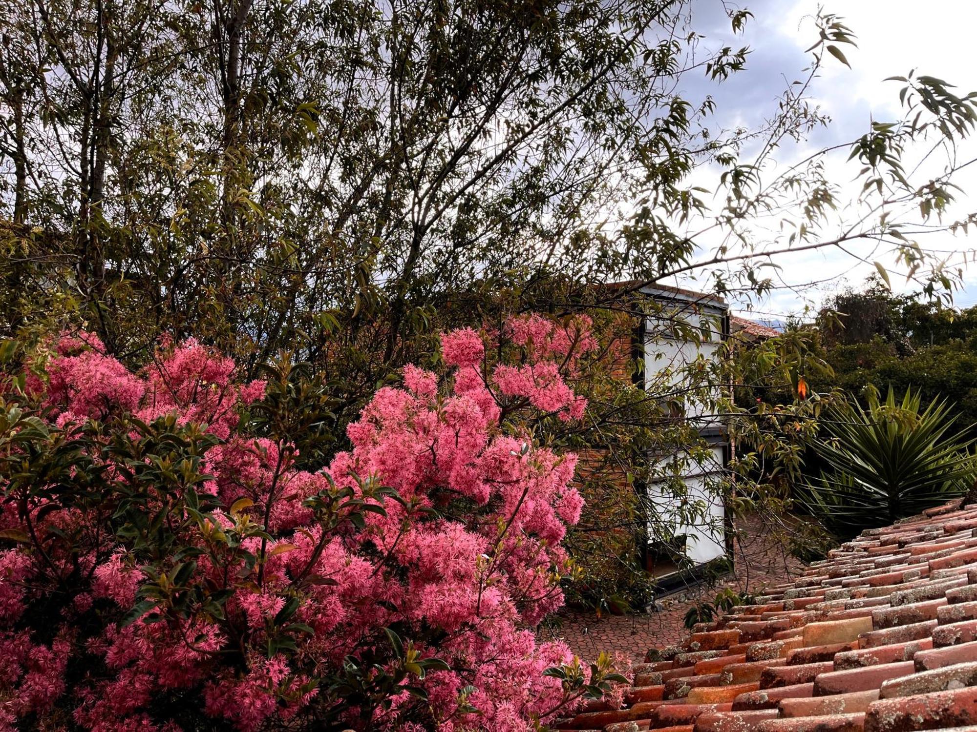 Casa Lloret Cuenca Zewnętrze zdjęcie
