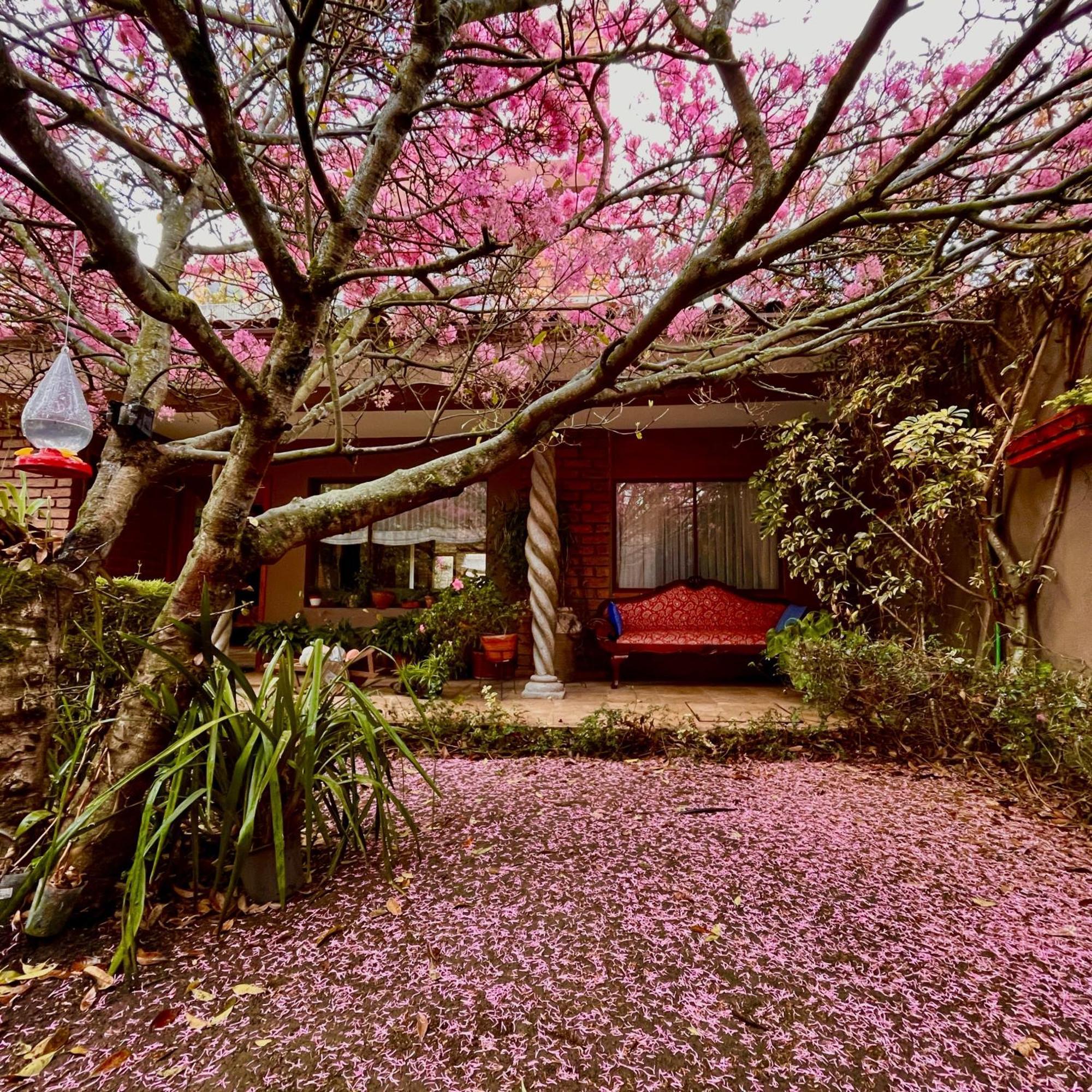 Casa Lloret Cuenca Zewnętrze zdjęcie